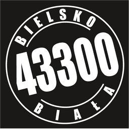 43-300